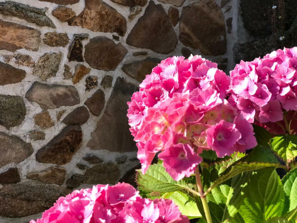 Manoir Des Petites Bretonnes Hotell Saint-Quay-Perros Eksteriør bilde