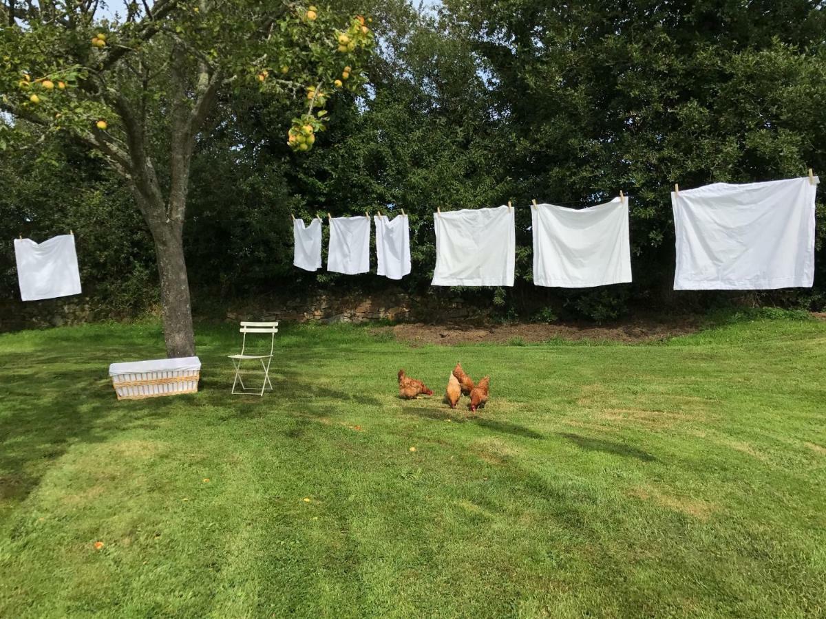 Manoir Des Petites Bretonnes Hotell Saint-Quay-Perros Eksteriør bilde